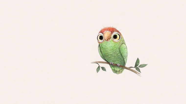 Мортимер попугай