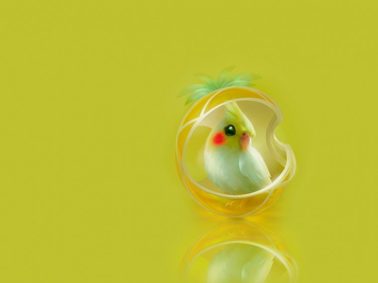 Арты попугаев