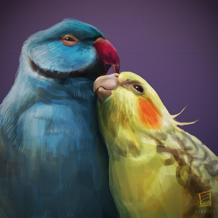 Какаду и волнистый попугай