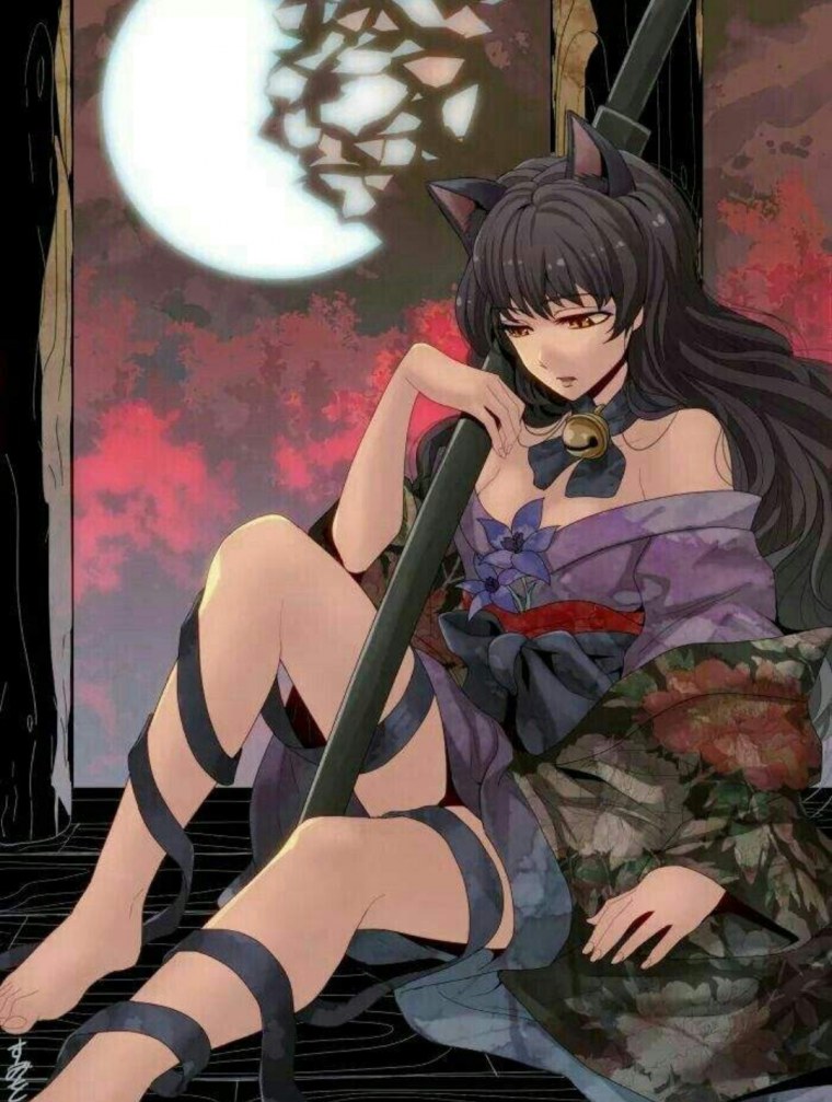 Blake Belladonna from RWBY