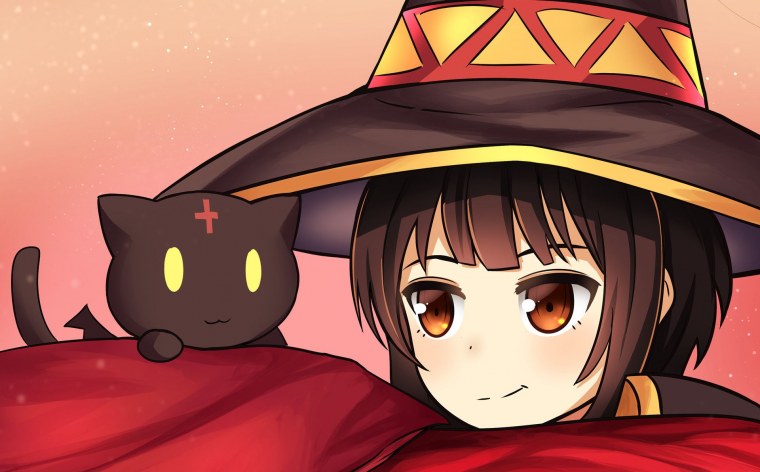 Кот Мегумин Шавермик