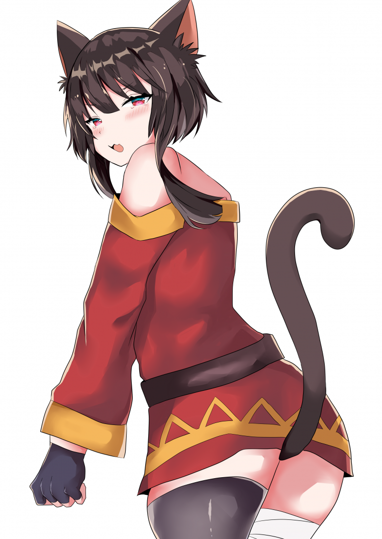 Мегумин неко