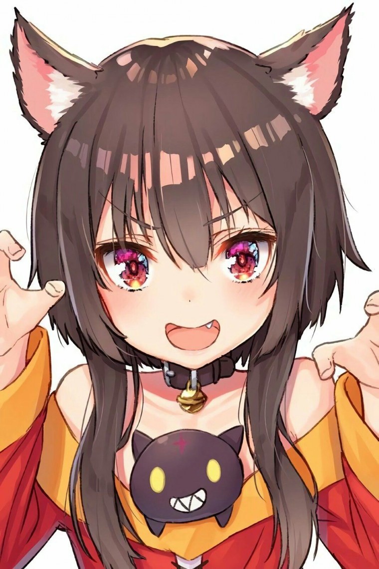 Шавермик коносуба