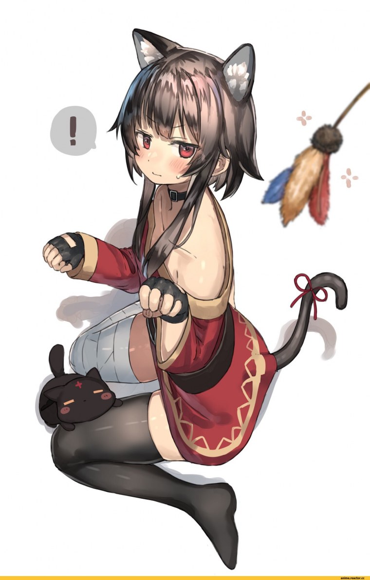 Коносуба кот Мегумин аниме