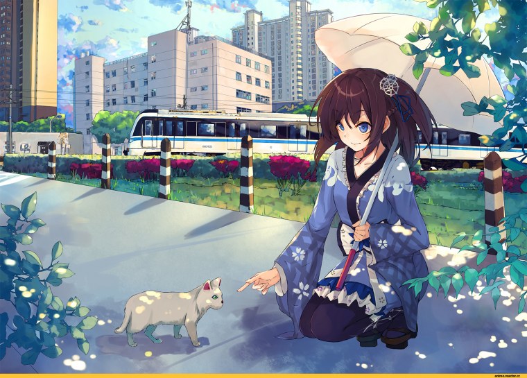 Аниме редкие