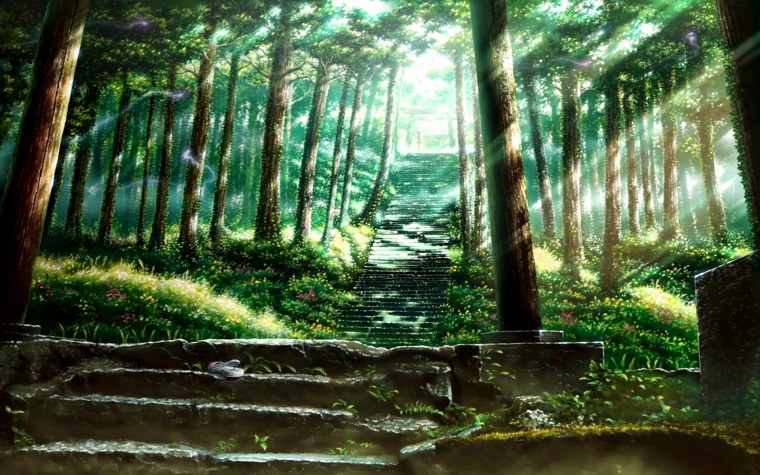 Волшебный лес Миядзаки