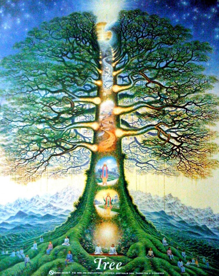 Волшебное дерево