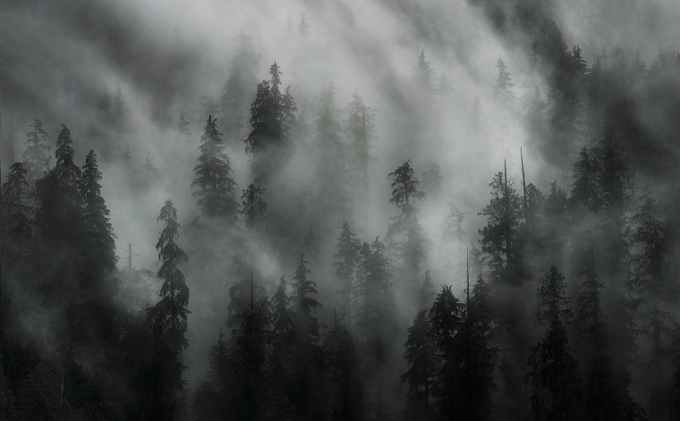 Черный туман