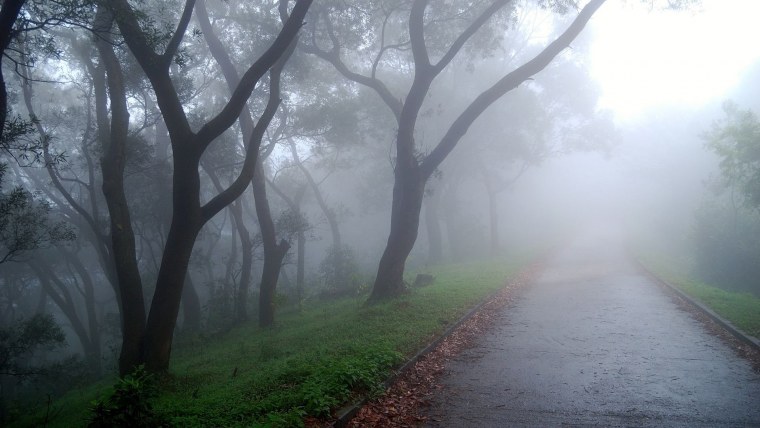 Серый туман