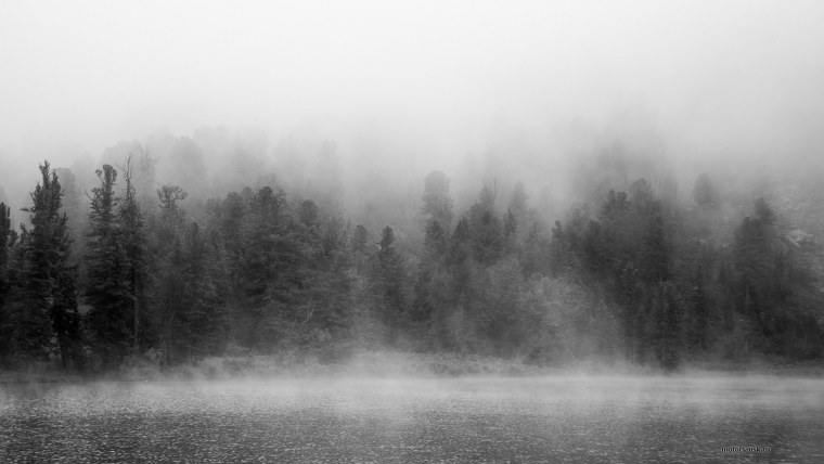 Густой туман