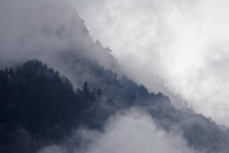 Густой туман в лесу ночью