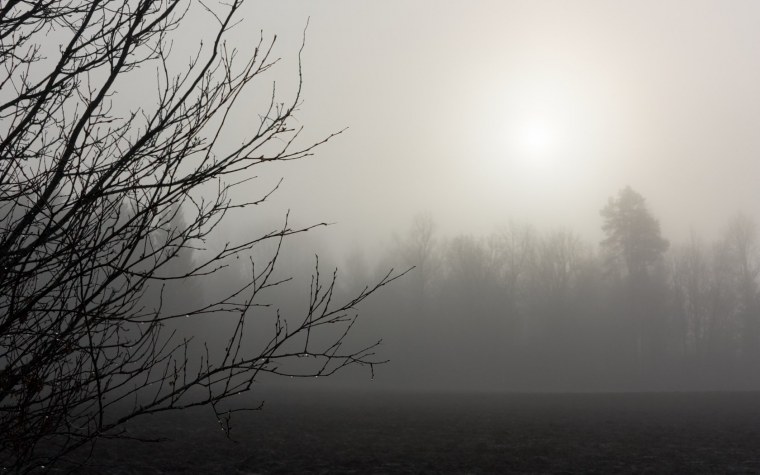 Серый туман