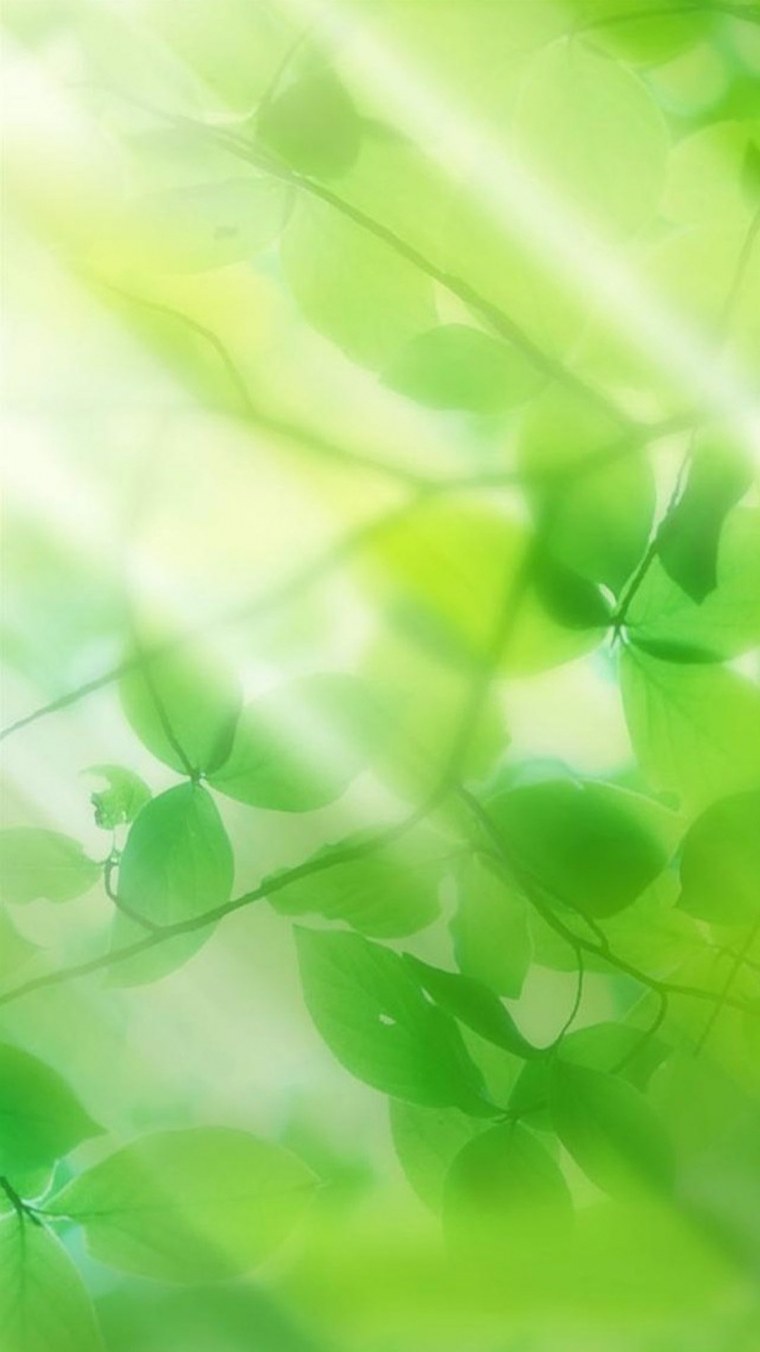 Зеленая текстура