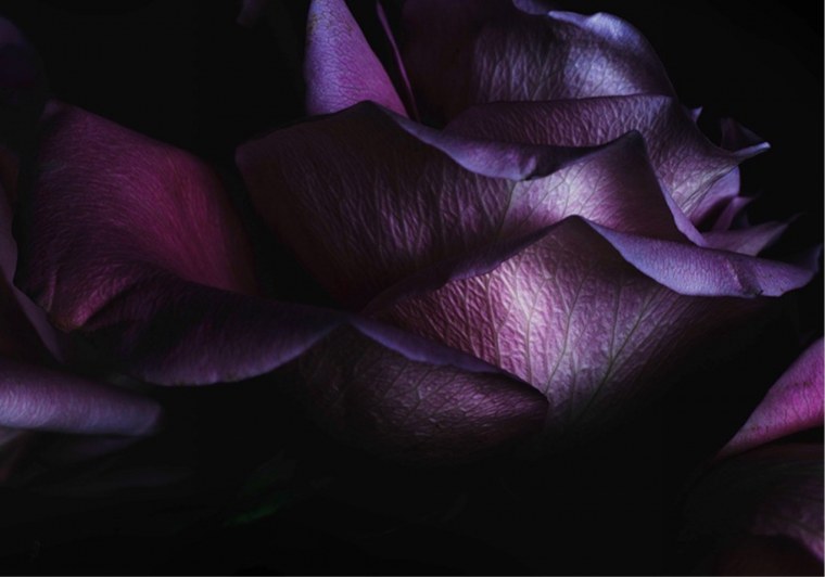 Красивый темный фон