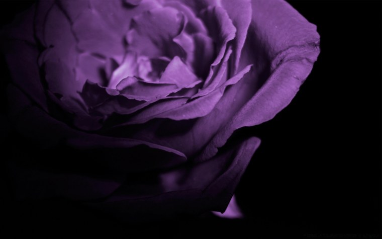 Фиолетовый фон