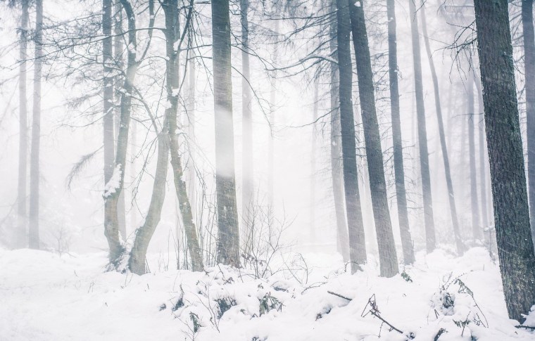 Бесконечное лето зимний город