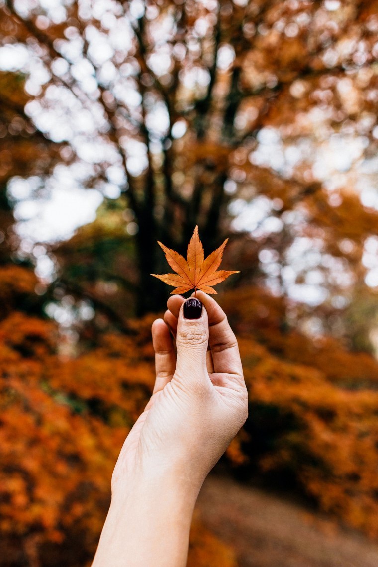 Открытки с дождливой осенью