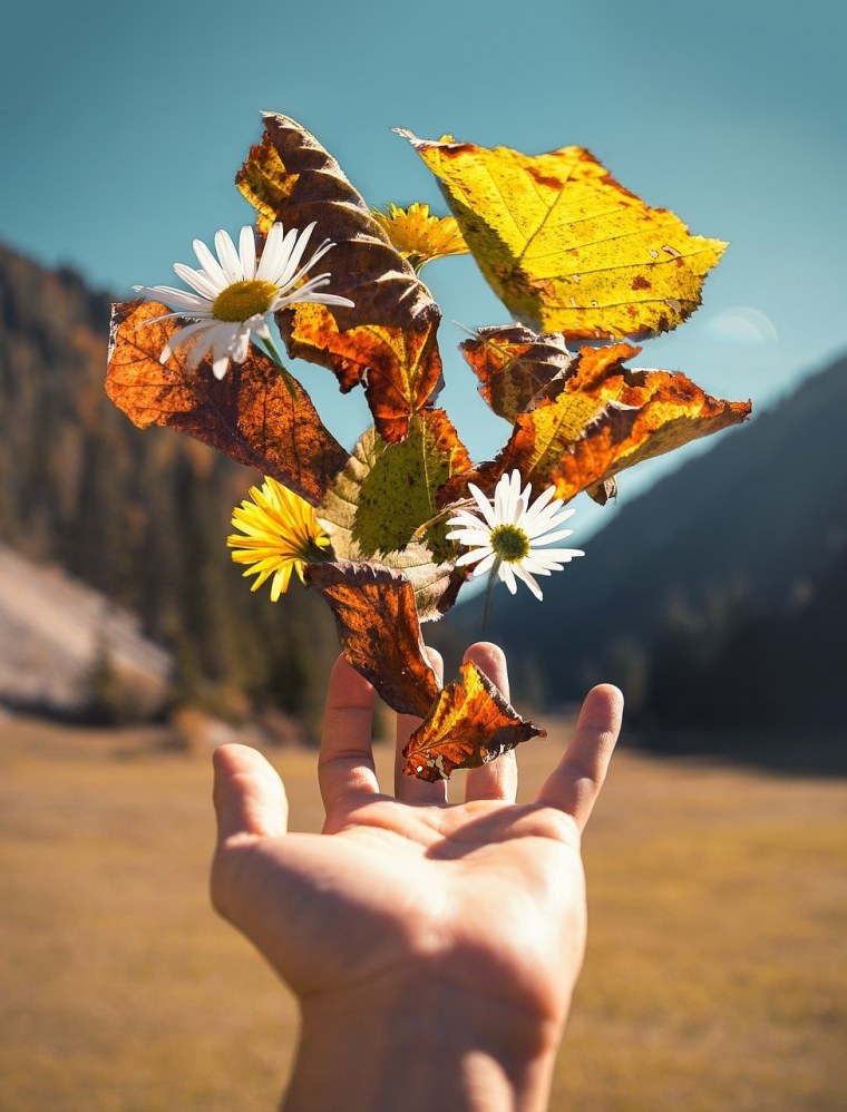 Девушка в осенних листьях