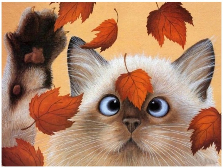 Осенняя природа на ватсап