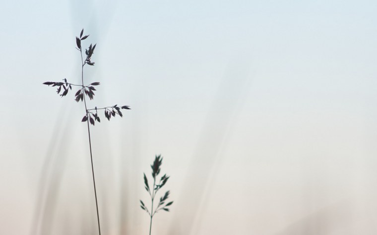 Фон Минимализм Эстетика