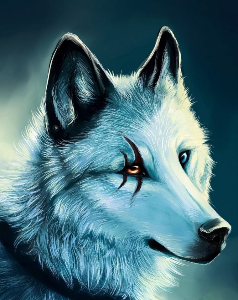 87114 Алмазная мозаика волки 40х50см,