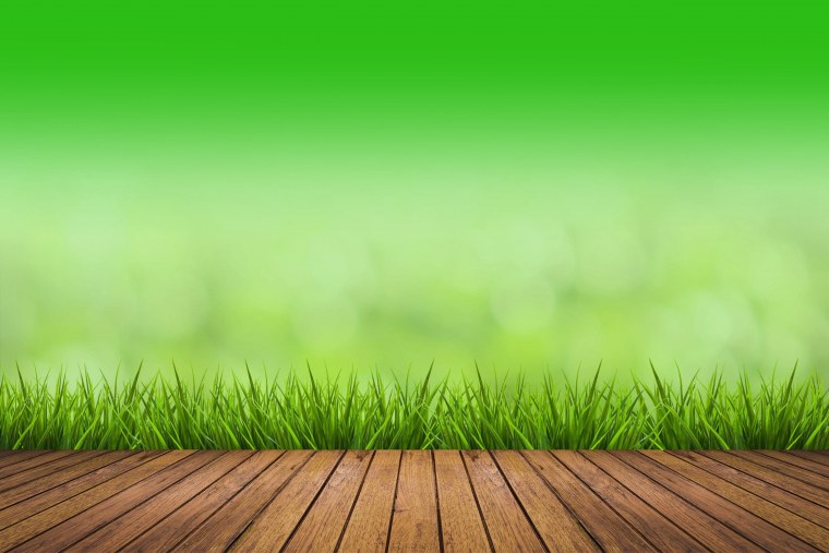 Трава вид сверху