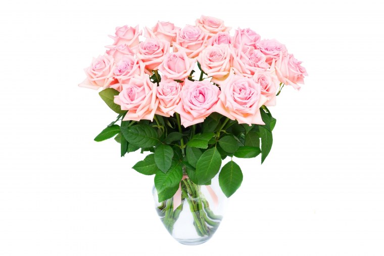 Розовые розы