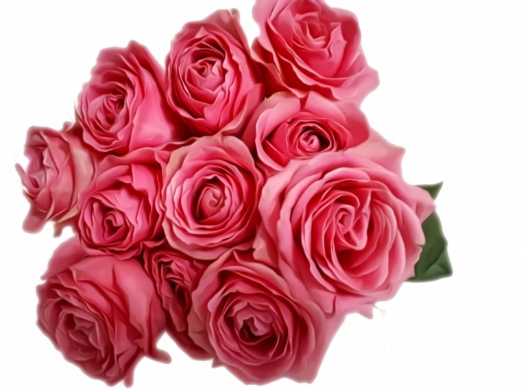 Розовые цветы на белом фоне