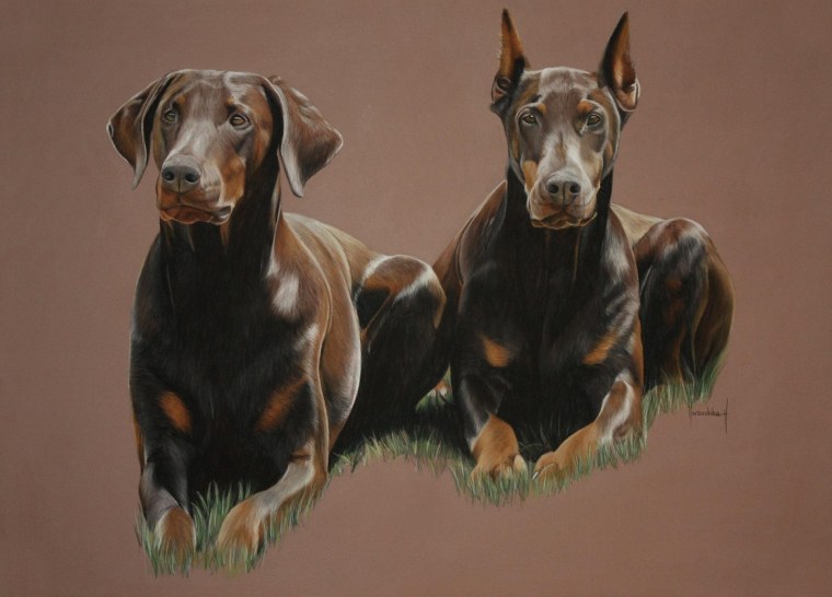 Доберман Египетский Бог