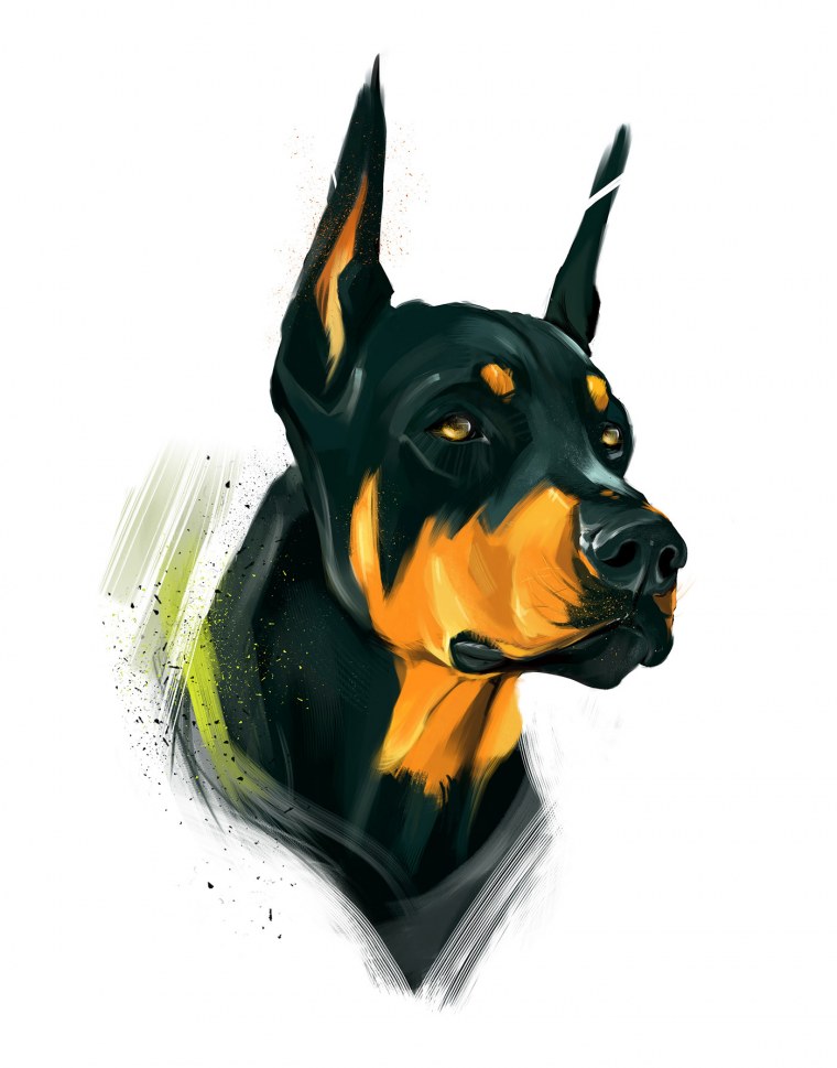 Аэрография Доберман