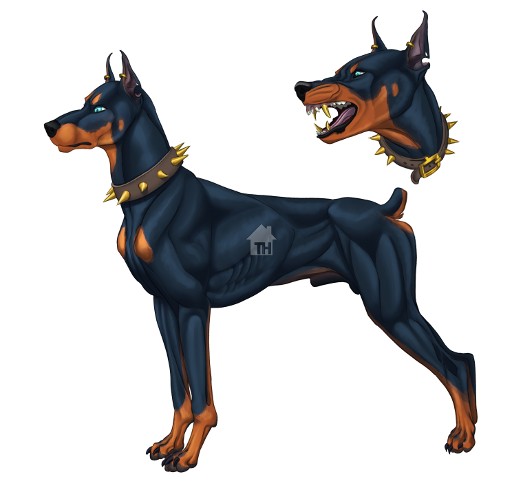 Aykut Aydogdu Доберман