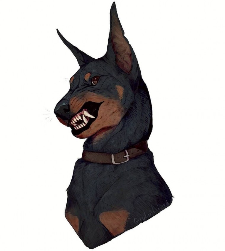 Доберман пинчер акварелью