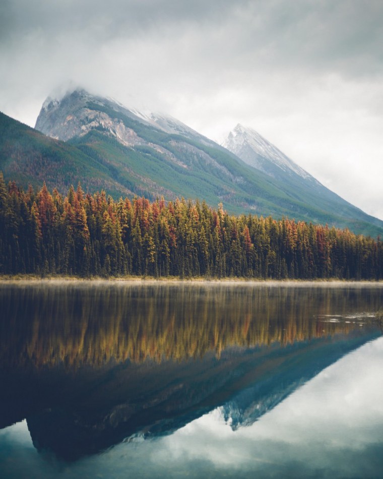 Предгорье Карпат