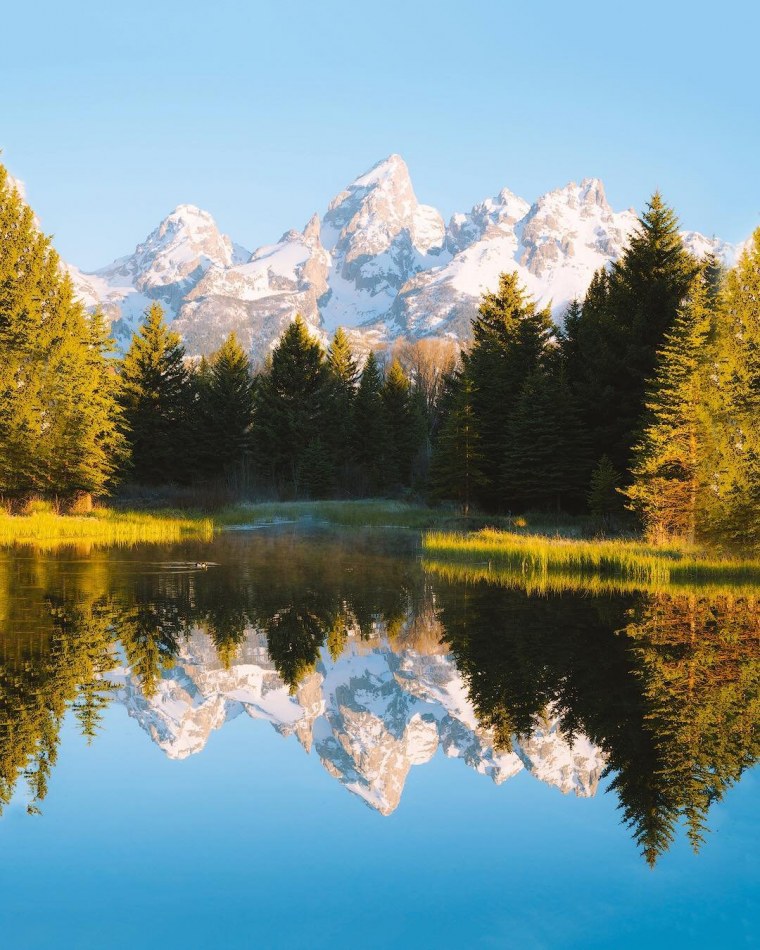 Красивый мост в лесу