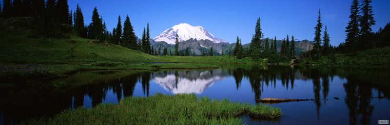 Река изгородь деревня лето