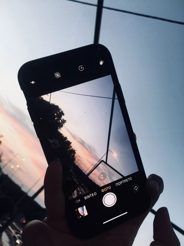 Зеленые листья папоротника