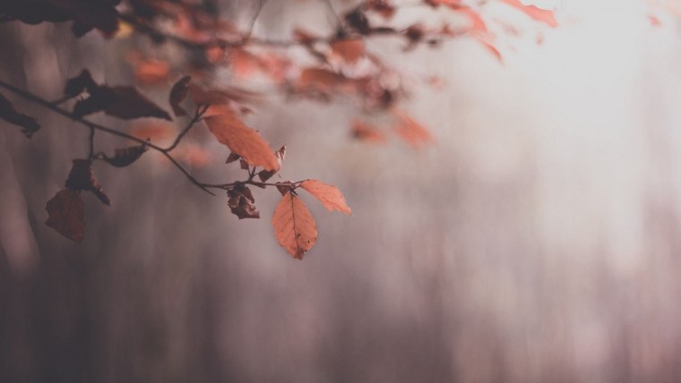 Осень Эстетика Минимализм