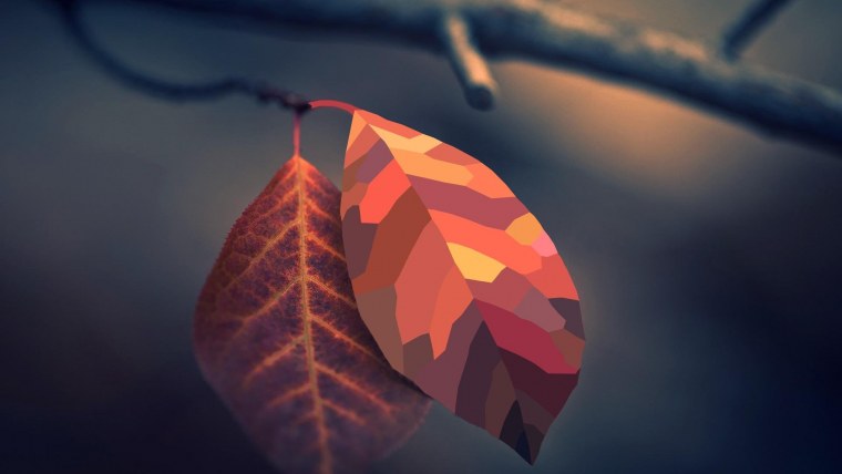 Осень на рабочий стол Минимализм