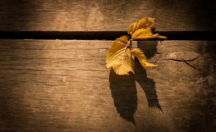 Осенний Минимализм