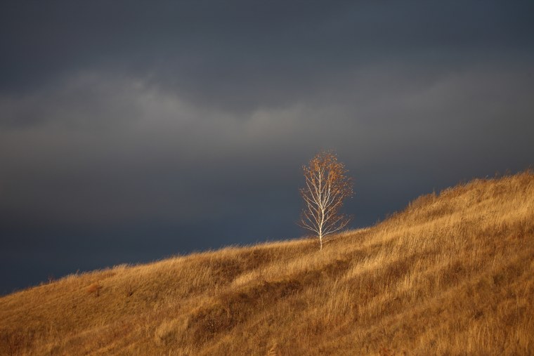 Природа осень Минимализм