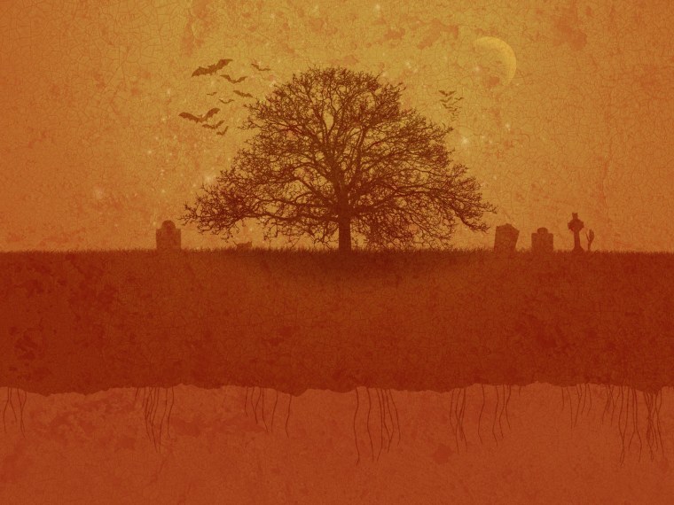 Осень листья Минимализм