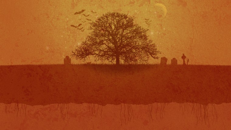 Осеннее дерево