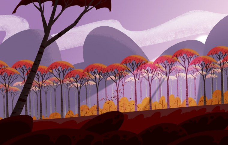 Элизабет Гэдд фотограф