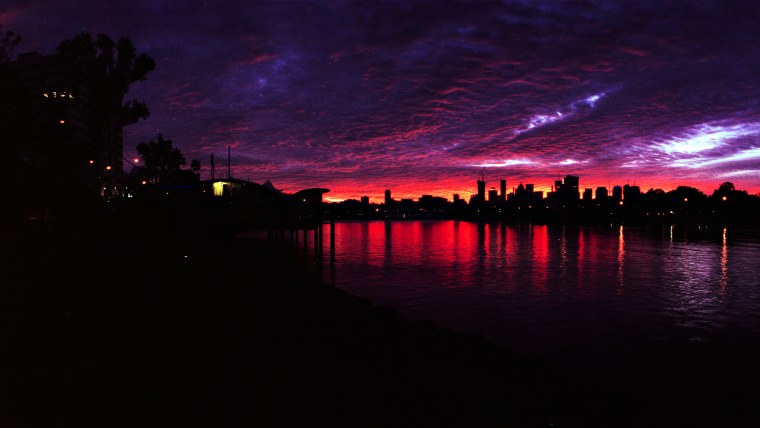 Багровый лес