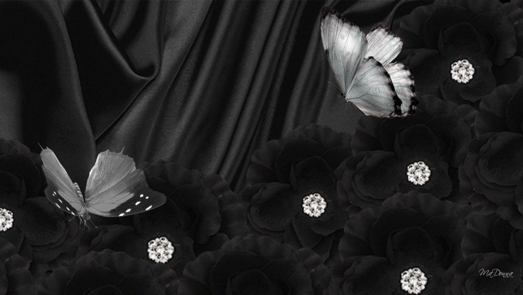 Черное на черном фоне