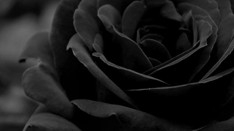 Картинки на черном фоне