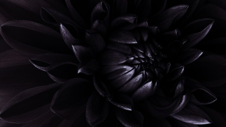 Обои на рабочий стол черные