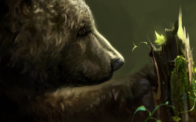 Беролак медведь