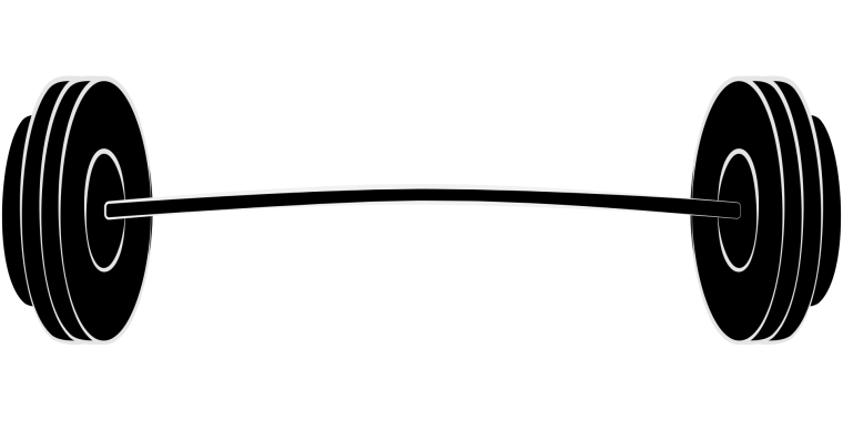 Штанга вектор