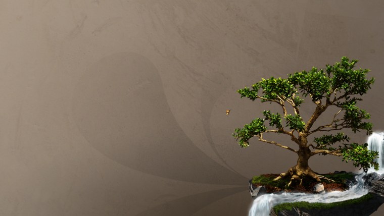 Дерево с корнями на скале